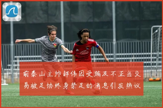 前泰山主帅郝伟因受贿及不正当交易被足协终身禁足的消息引发热议