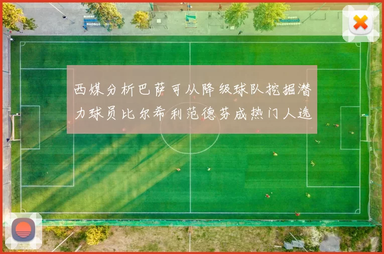 西媒分析巴萨可从降级球队挖掘潜力球员比尔希利范德芬成热门人选